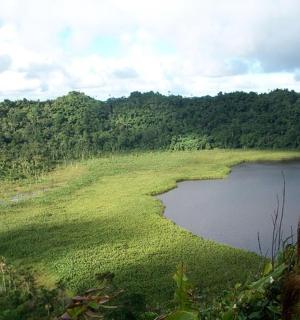 a large body of water with grass and trees