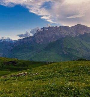 一片绿色的田野,背景是群山