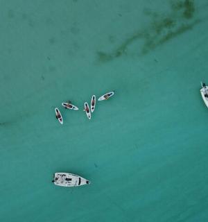 eine Gruppe von Booten im Wasser