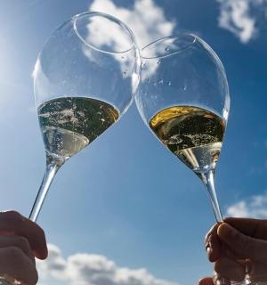 two people holding up glasses of wine