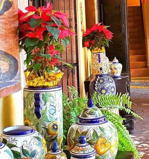 一组摆放在建筑物侧面的花瓶