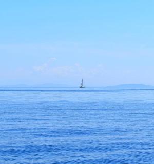 једрилица усред велике водене површине