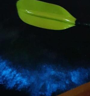 a green spoon sitting on top of a table