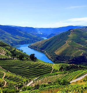 an aerial view of a river flowing through a valley
