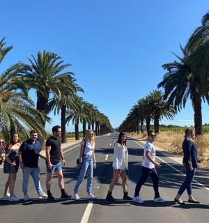 一群人穿过有棕榈树的道路