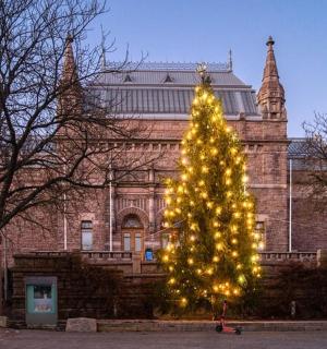 建筑物前的圣诞树