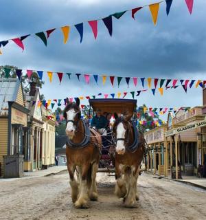 两匹马拉着一辆马车沿着挂满旗帜的街道行驶