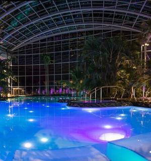 una gran piscina en un edifici amb sostre