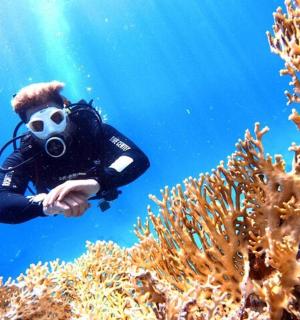 穿着潜水服的人和在水中的相机