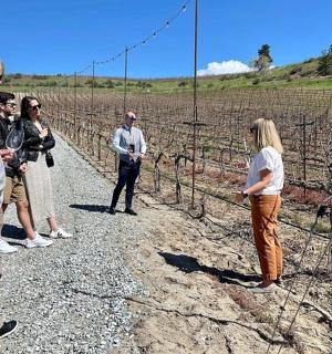 一群人站在葡萄园里