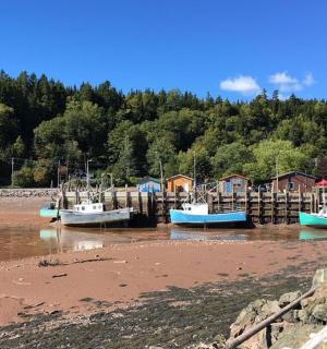 一群船停靠在水中