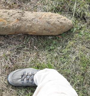草地上的一只鞋和一块石头