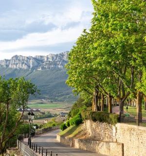 以树木和山脉为背景的一条道路