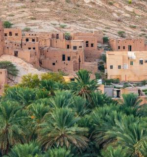 an aerial view of a village with palm trees