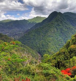 a view of auliculiculiculiculiculiculiculiculiculiculiculic