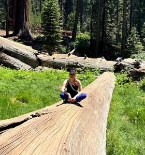 a person sitting on a wooden path in a forest