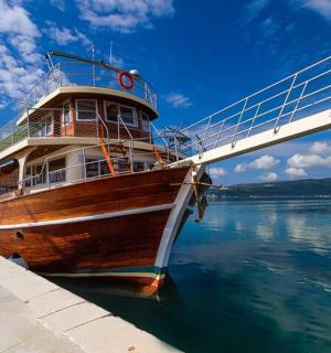 停在桥下水中的船