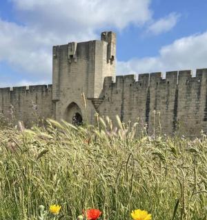 велики замак са високим каменим зидом