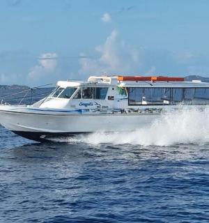 一艘白色的船在水面上