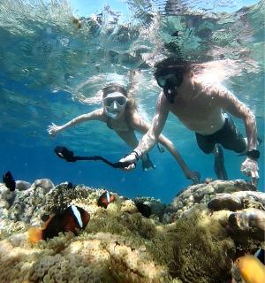 两个人在珊瑚礁上游泳