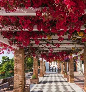 a corridor with red flowers on a building