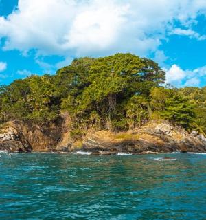 海洋中的一个岛屿,水中有一个人