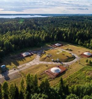 大片树木繁茂的田野的鸟瞰图