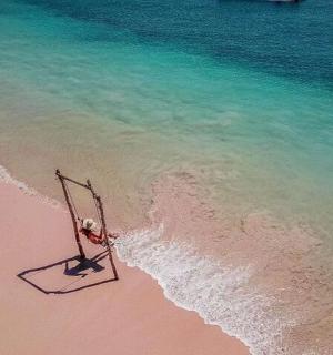 靠近水边的海滩上的一艘死船