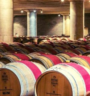 仓库里的一排酒桶