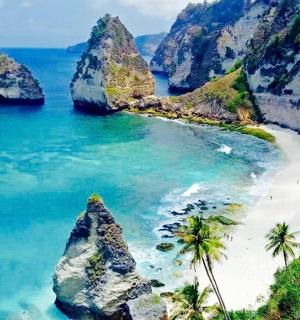 一片有棕榈树和岩石的海滩