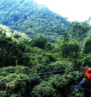 osoba na zip line v džungli