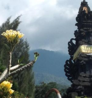 ön planda çiçeklerle dolu bir bina ve ağaç