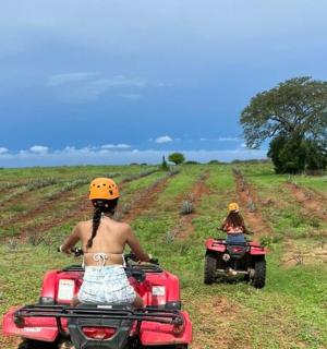 two people riding on atvs in a field