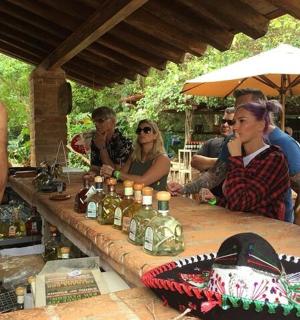 a group of people sitting around a table with bottles of wine