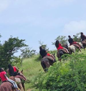 skupina lidí jedoucích na koních do kopce