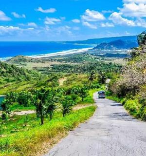 一条通往大海的路，路上有一辆货车