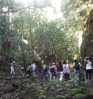 숲 속 개울을 건너는 사람들의 무리