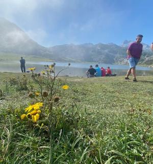a group of people standing on a field near a body of water