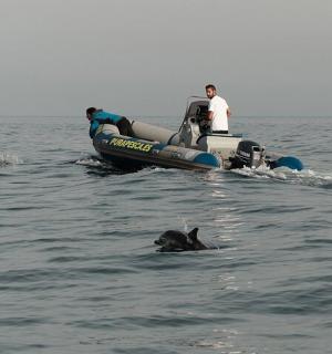 一群人在水中的船上