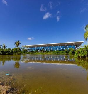 a bridge over a body of water with palm trees