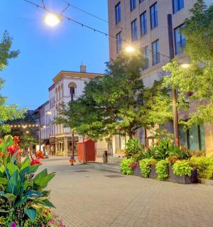 en bygade med blomster og bygninger og træer