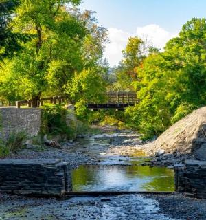 a creek with a bridge in the background with trees