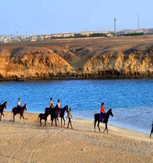 skupina lidí jezdících na koních na pláži