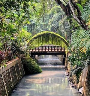 jambatan dengan bangku di taman