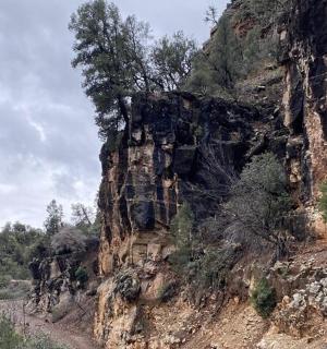 skalnata gora z drevesi na njeni strani