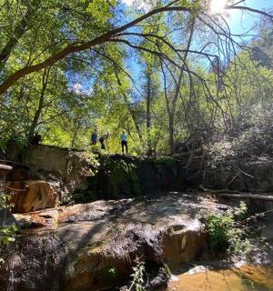 dva človeka, ki hodita po poti v gozdu