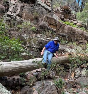 moški, ki sedi na hlodu na podrtem drevesu