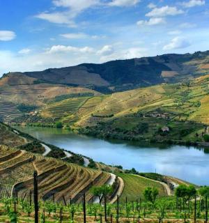 a view of a river and a valley with vineyards