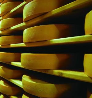 商店货架上的一堆奶酪