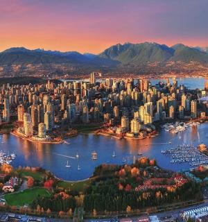 一座有港口的城市的鸟瞰图